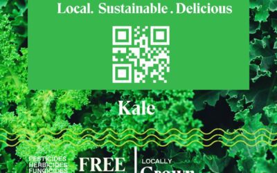 The Surprising Health Benefits of Eating Hydroponic Kale on a Regular Basis